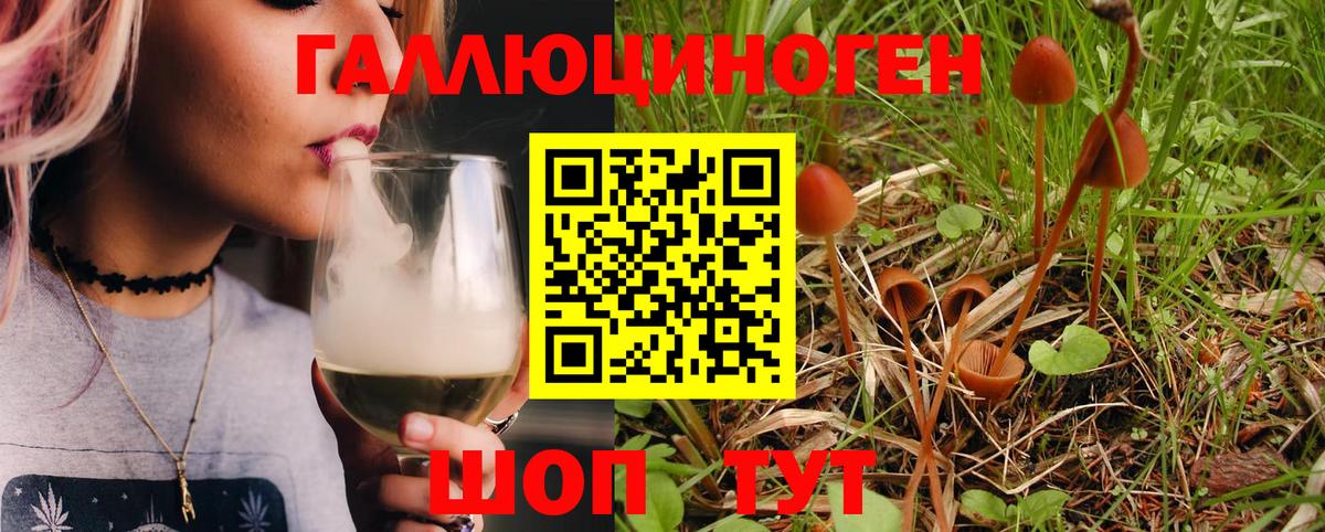 Псилоцибиновые грибы Psilocybe  Вход с VPN  Павловский Посад 