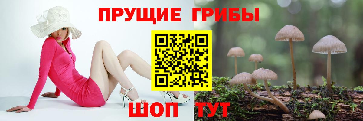 Галлюциногенные грибы мухоморы Павловский Посад